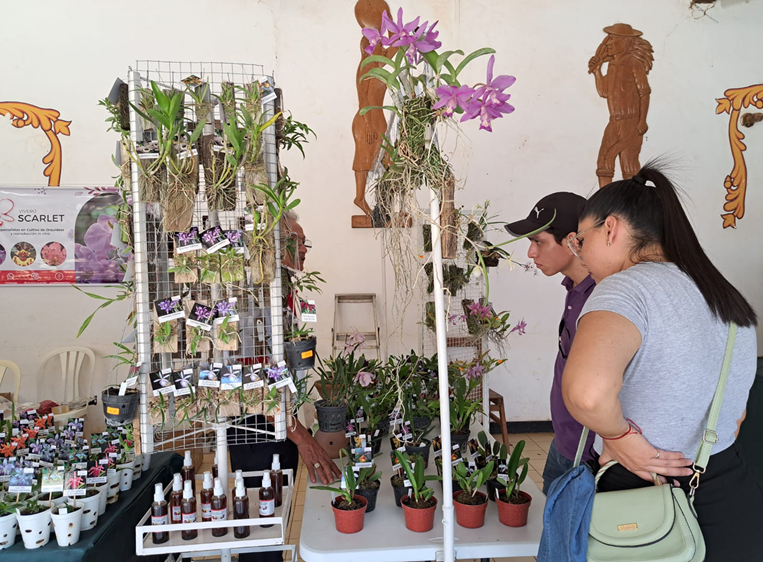 Muchas personas visitaron Concepción para ver las flor exótias. Foto. Jorge Huanca  