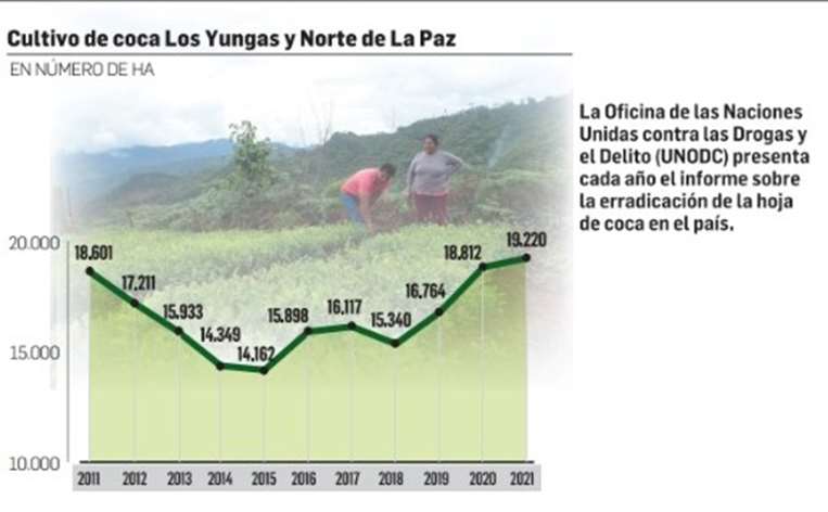 Cultivos de coca en Bolivia