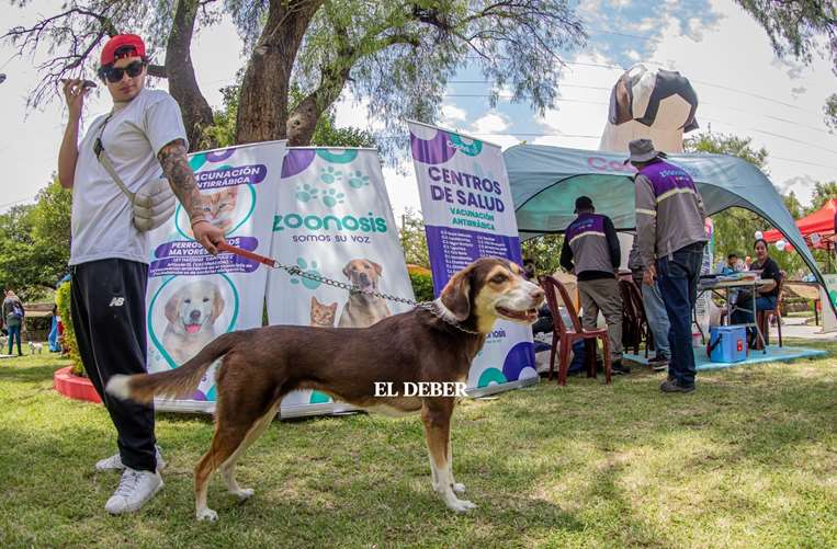 Jornada dedicada a las mascotas en Cochabamba/Foto: Humberto Aillón