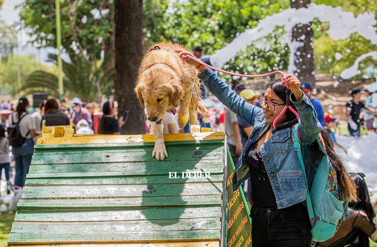 Jornada dedicada a las mascotas en Cochabamba/Foto: Humberto Aillón