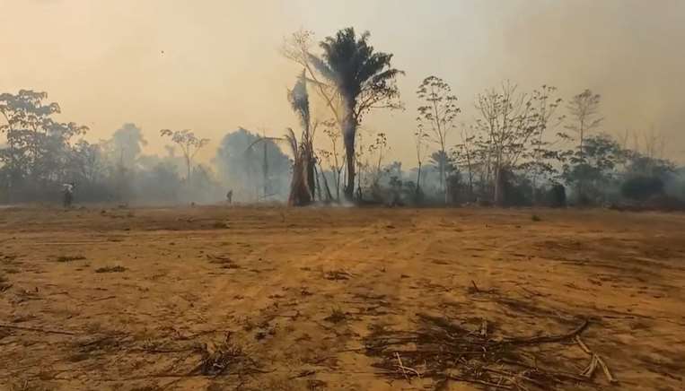 Continúa el incendio en el norte paceño. Foto: Captura/Informe Amazónico.