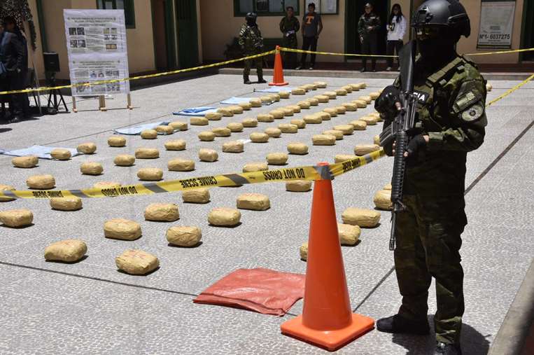 Incautan droga en Potosí/Foto: Viceministerio de Sustancias Controladas.