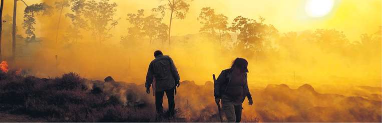 Incendios en la Amazonia
