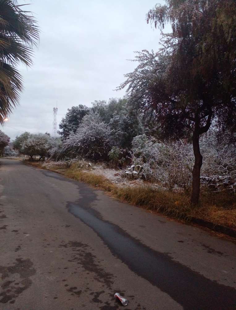Nieve en Tarija/ Foto: Redes Sociales