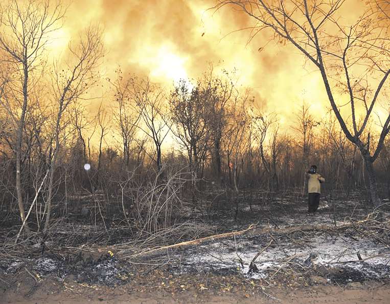 Incendios y deforestación