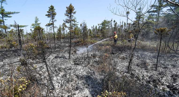 Incendios en Canadá /Foto: AFP