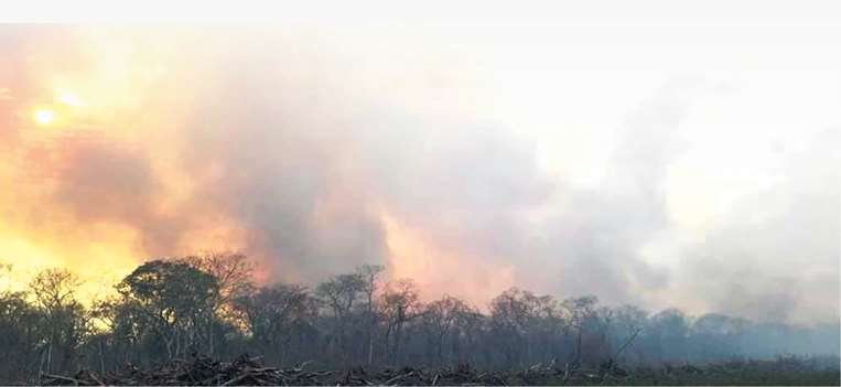 El parque Kaa-Iya arde desde hace 28 días y un nuevo incendio ingresa a Otuquis