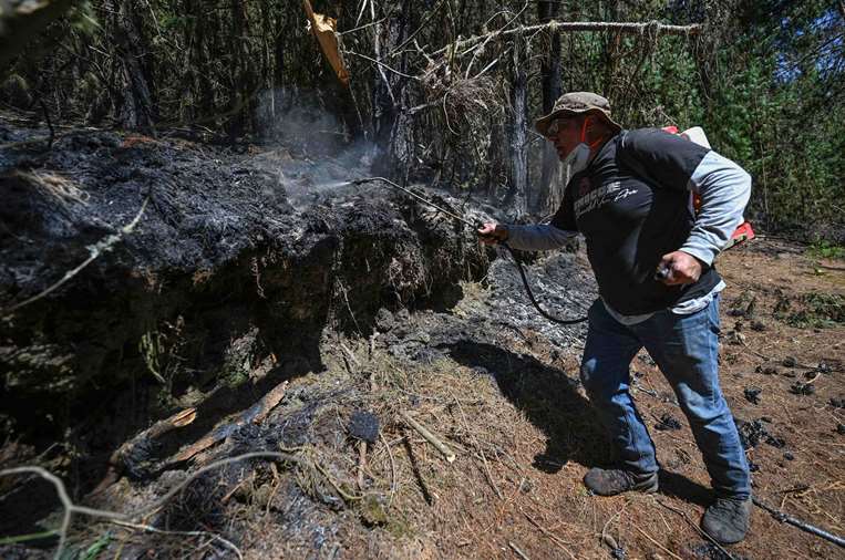 Incendios forestales en Colombia /Foto: AFP