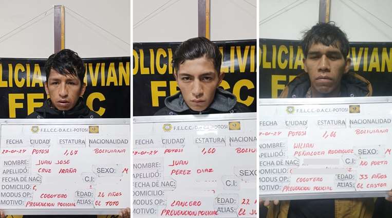 La Policía capturó a los antisociales/Foto: Comando de la Policía de Potosí