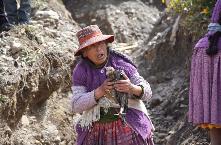 Una mujer rescata una gallina. Foto: APG