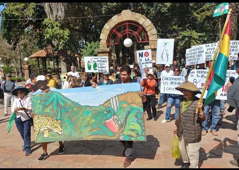 Marcha ciudadana en defensa de los helechos gigantes en Samaipata/Foto: Karina Vargas