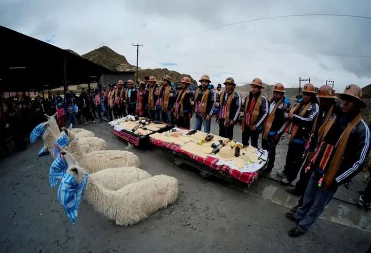 Llamas a punto de ser sacrificadas en mina de Oruro