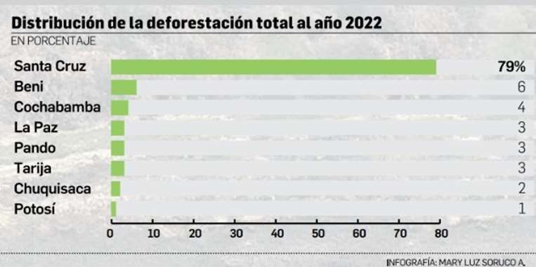 Deforestación de bosques en Bolivia