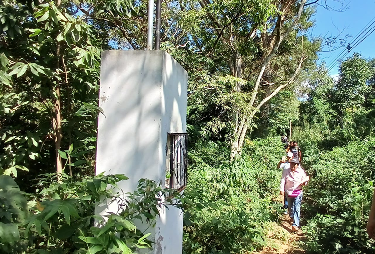 Un medidor de luz eléctrica en medio del Cordón Ecológico. Foto. Ricardo Montero 