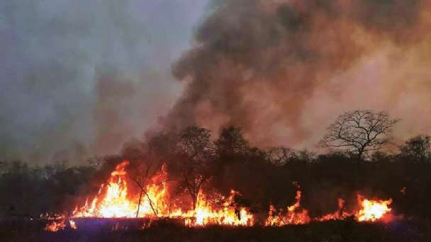 Reportan incendio forestal de magnitud en el Parque Nacional Kaa