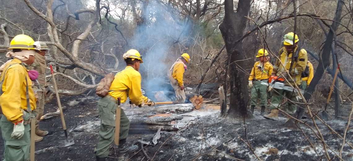 Bomberos forestales controlan el incendio en el Parque Nacional