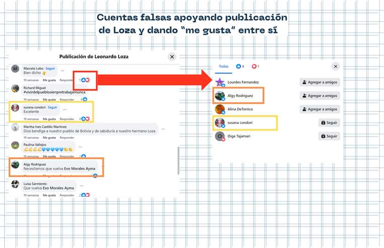 Cuentas Falsas Loza