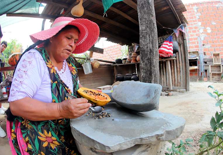 Así es como se pone a moler la semilla de papaya. Nos compartió su receta /Jorge Gutiérrez