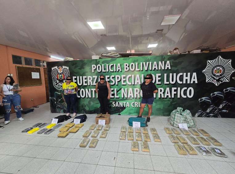 La Policía secuestró la droga en dos operativos