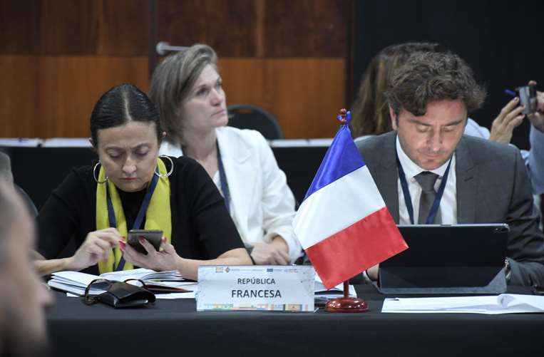 La delegación de Francia en la reunión regional. Foto/Viceministerio de Sustancias