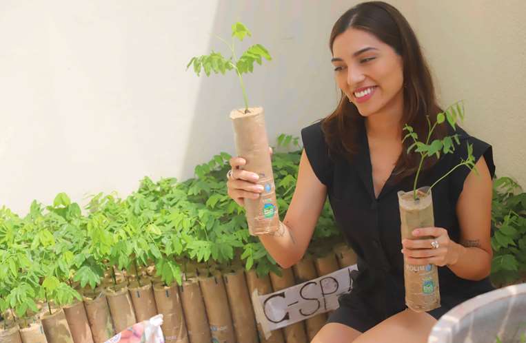 Así son los plantines de almendro que se han empezado a sembrar /Foto: Jorge Gutiérrez