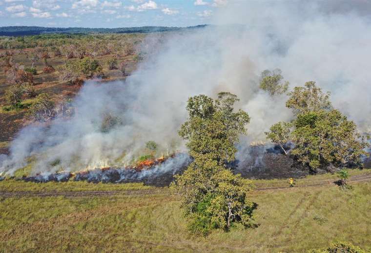 Se Disparan Los Incendios Forestales En El Departamento Cruce O El Deber