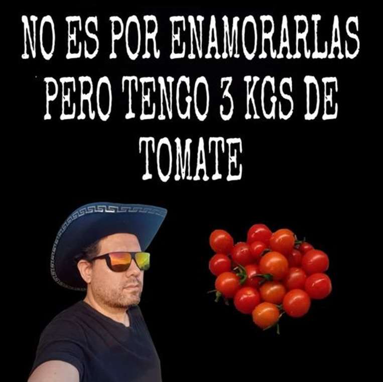 Precio del tomate generó memes