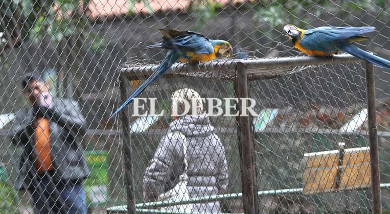 En época de invierno, el zoológico recibe entre 3.000 y 2.000 visitantes / Ricardo Montero