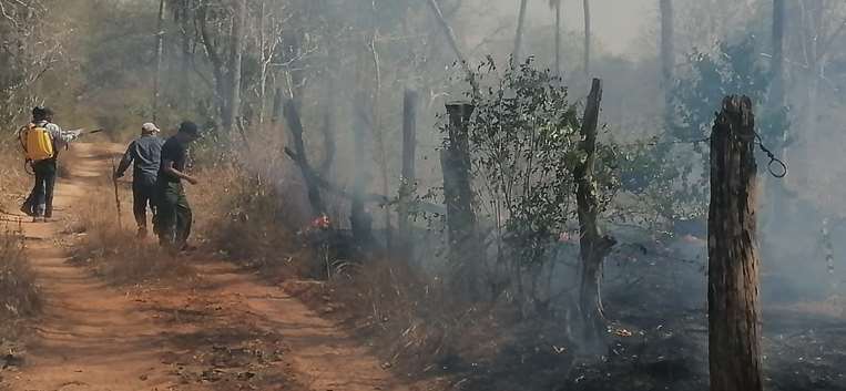 Incendio forestal en Roboré /Foto: comunarios