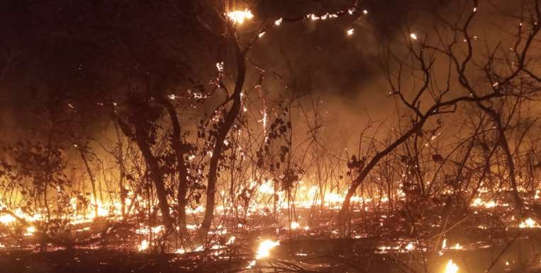 Emergencia en Roboré por avance de incendios forestales