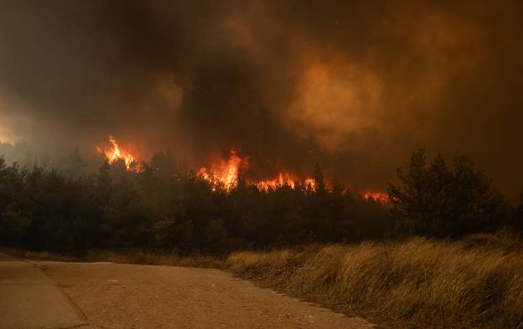  Llamas queman vegetación durante un incendio forestal en Dione, Grecia / AFP 