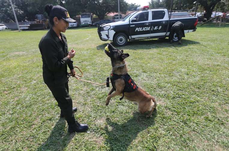 Becky fue agasajada junto a otros perritos por San Roque/Foto: Fuad Landívar