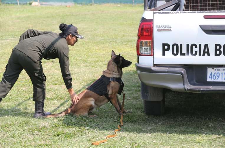 Becky fue agasajada junto a otros perritos por San Roque/Foto: Fuad Landívar