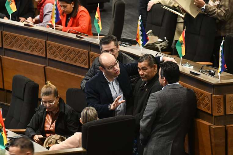 Sesión de la Asamblea Legislativa Plurinacional /Foto: APG Noticias