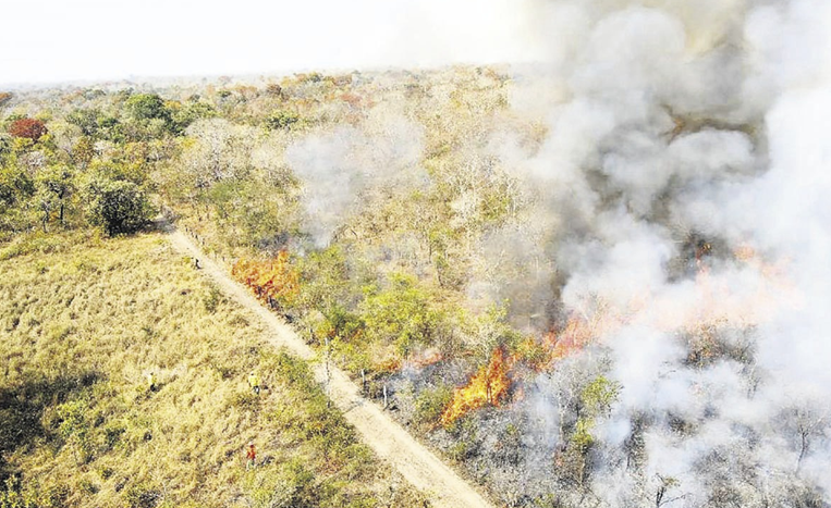 Incendios 