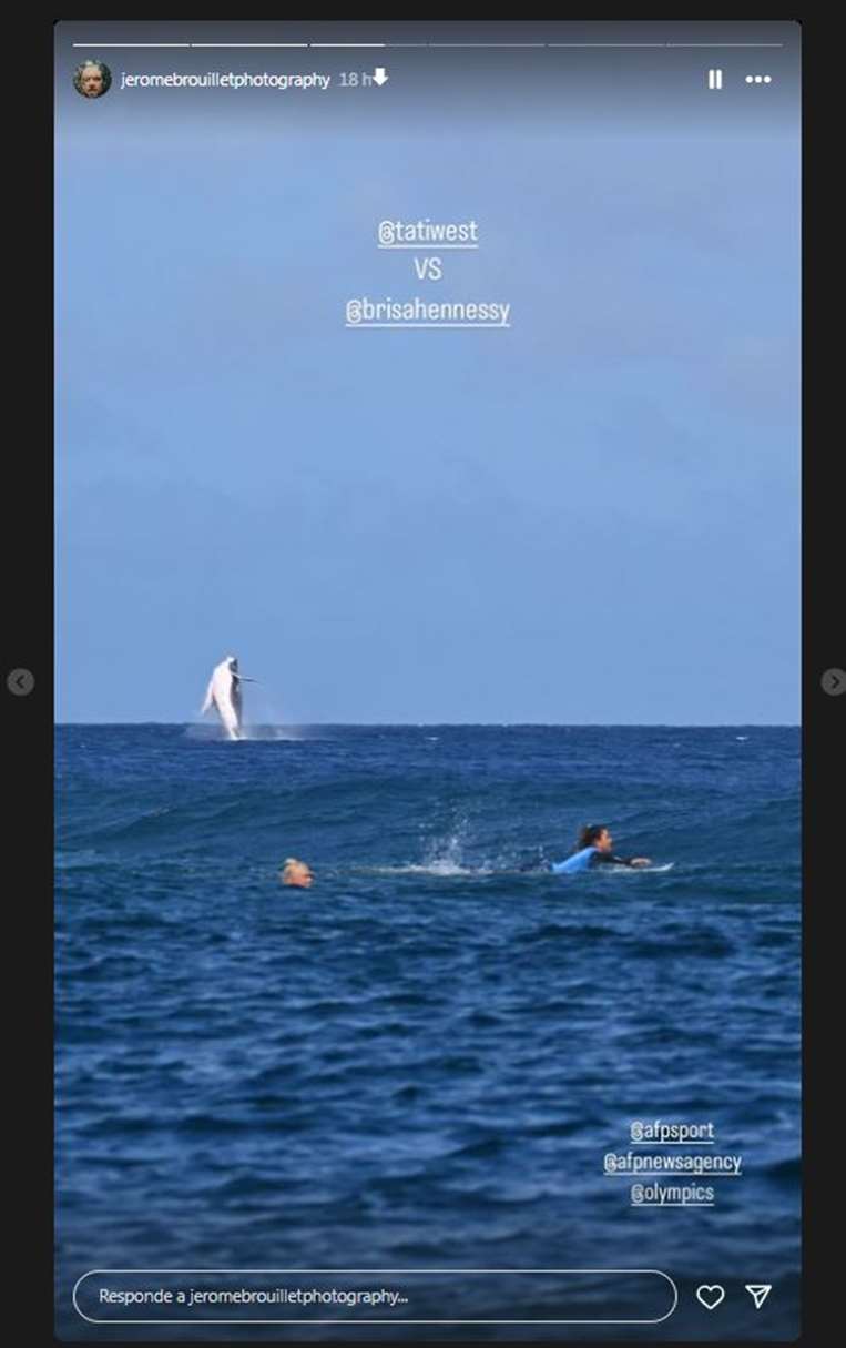 Una ballena se roba el protagonismo en la semifinal de surf.