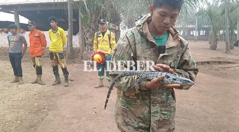 Incendio forestal