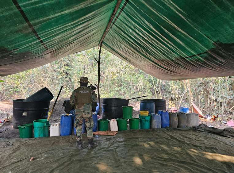 Fábricas de cocaína destruídas en Cochabamba