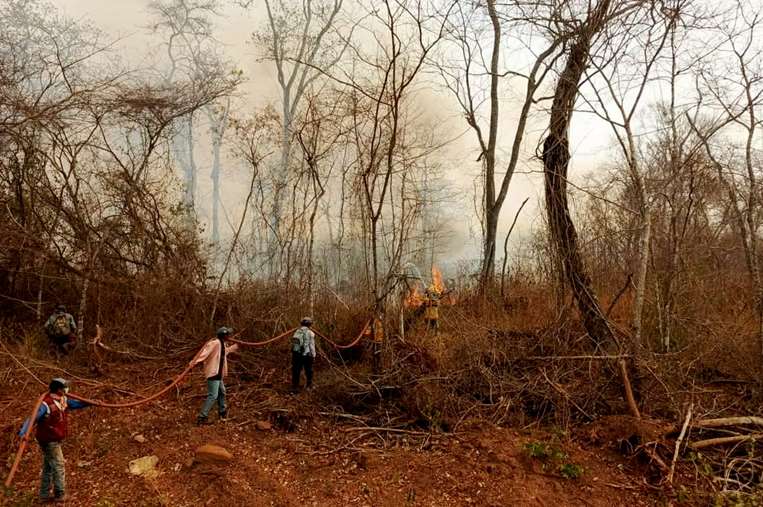 Mucho del trabajo contra el fuego se hace también desde el voluntariado