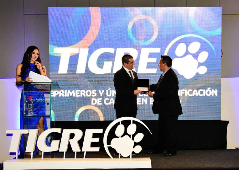 Tigre 