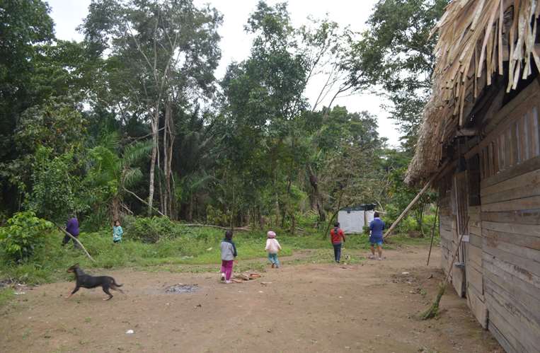 Detrás de las casas de la comunidad está su mayor riqueza: el bosque. 