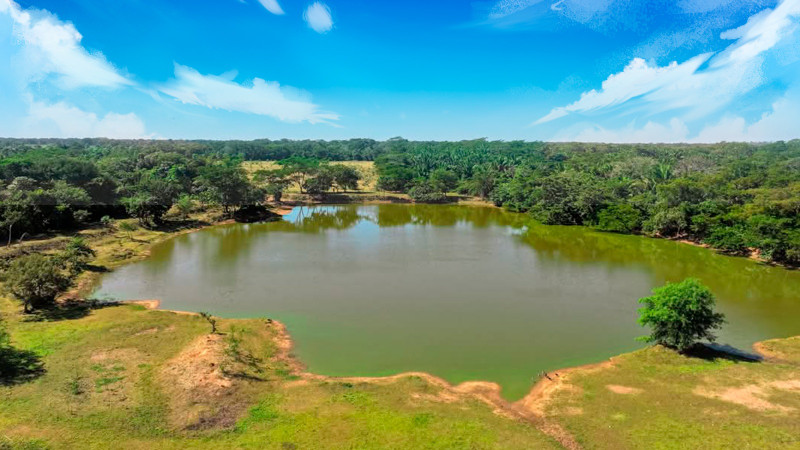 Últimos terrenos en venta - image 3